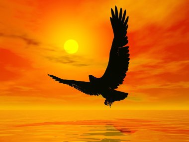Eagle by sunset - 3D render