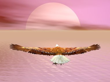 Güneş - 3d render için gidiş kartal