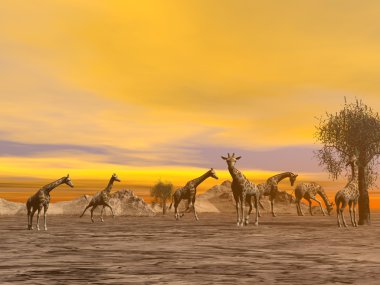 Zürafalar savannah - 3d render içinde