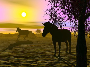 Zebralar günbatımı - 3d render tarafından