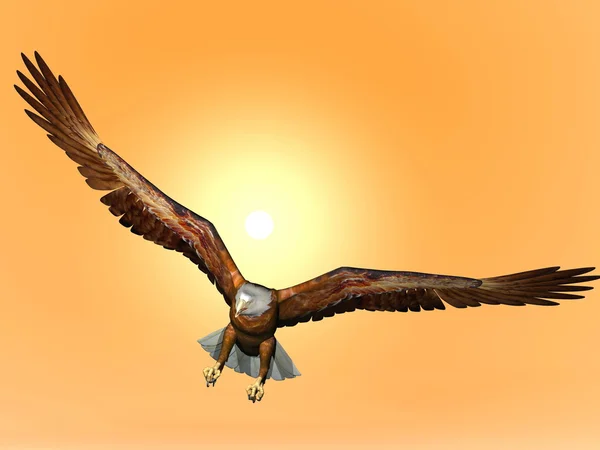 Águila al atardecer - 3D render —  Fotos de Stock