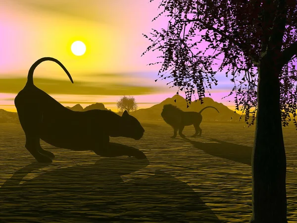 Leones al atardecer - 3D render — Foto de Stock