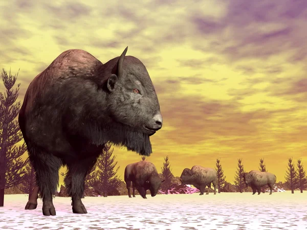 Bisons en invierno - 3D render — Foto de Stock