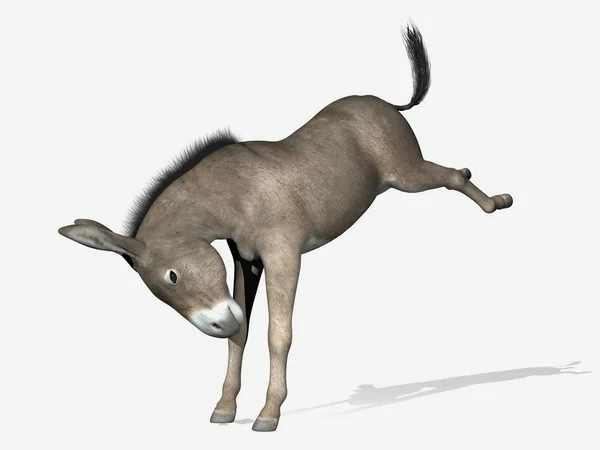 Criação de burros - renderização 3D — Fotografia de Stock