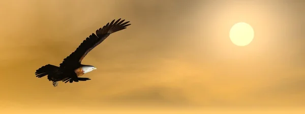 Eagle door zonsondergang - 3d render — Stockfoto