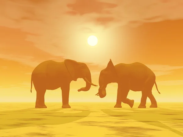 大象情侣-3d 渲染 — 图库照片