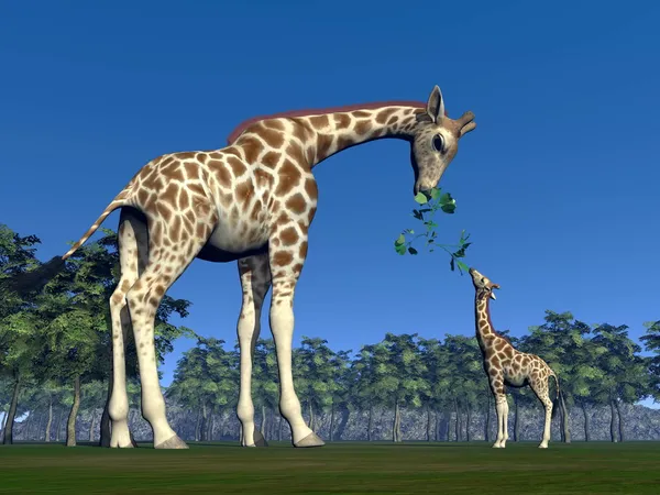 Żyrafa mama karmienia giraffon - 3d renderowania — Zdjęcie stockowe