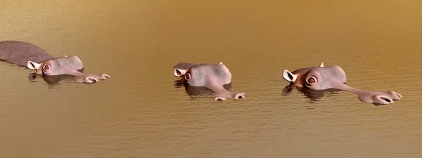 Trzy discret hipopotam - 3d renderowania — Zdjęcie stockowe