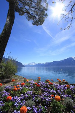 Bahar, Cenevre Gölü, montreux, İsviçre