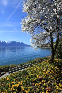 Bahar, Cenevre Gölü, montreux, İsviçre