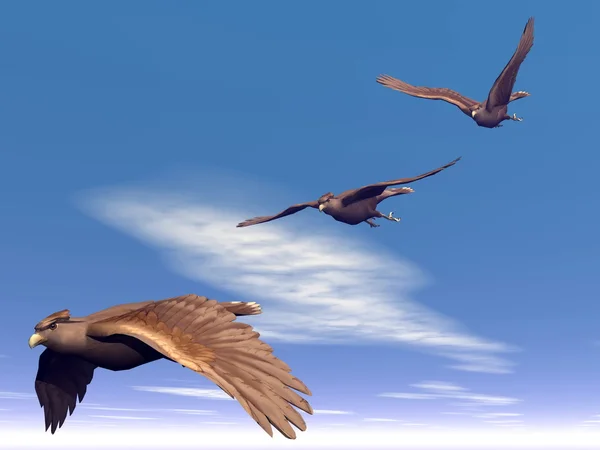 Flying hawks - 3D render — Stock Photo, Image