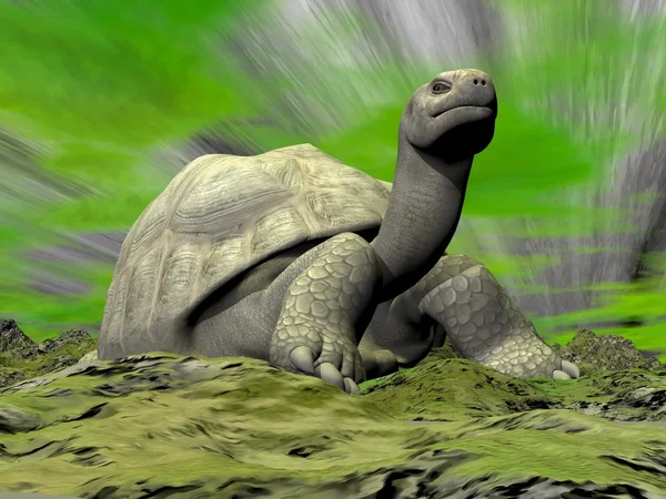 Γκαλαπάγκος χελώνα κοιτάζοντας σας - 3d καθιστούν — Φωτογραφία Αρχείου