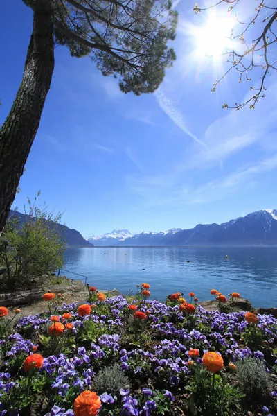 Bahar, Cenevre Gölü, montreux, İsviçre — Stok fotoğraf