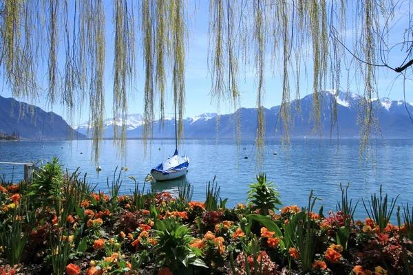 Ora de primăvară la lacul Geneva, Montreux, Elveția — Fotografie, imagine de stoc