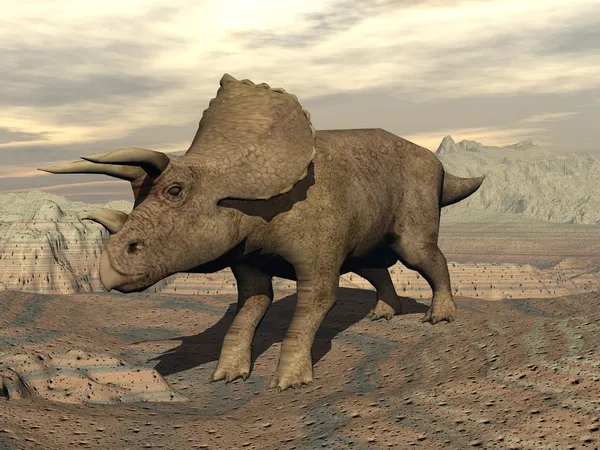 Tricera dinozaur stałego renderowania 3d — Zdjęcie stockowe