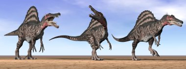 Spinosaurus dinozorlar çöl - 3d render