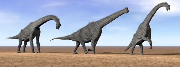 Dinossauros braquiossauros no deserto renderizar 3D — Fotografia de Stock