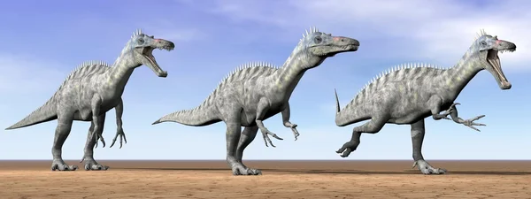 Suchomimus dinosaurs in the desert - 3D render — Stock Photo, Image