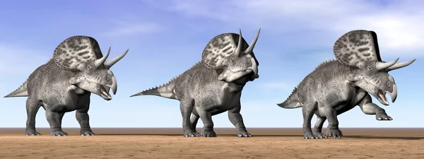 Dinosauri Zuniceratops nel deserto - rendering 3D — Foto Stock