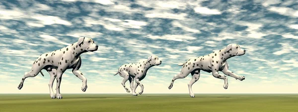 Dalmatian dogs running - 3D render — Stock Photo, Image