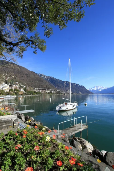 Tavasz-Genfi-tó partján, Montreux, Svájc — Stock Fotó