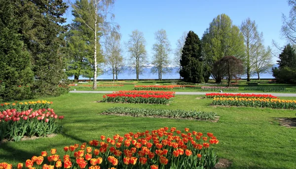 Frühlingsfest der Tulpen, Morges, Schweiz — Stockfoto