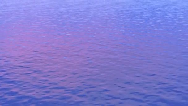 Fles op zee - 3d render — Stockvideo