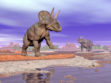 doğa - 3d render diceratops dinozorlar