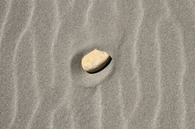 plaj kum üzerine taş