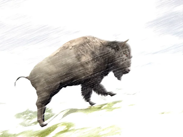 Bison i winter storm - 3d render — Stockfoto