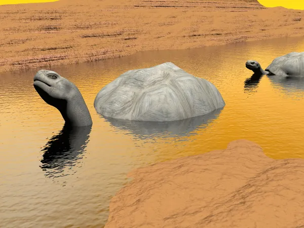 Tortugas de Galápagos en agua - 3D render — Foto de Stock