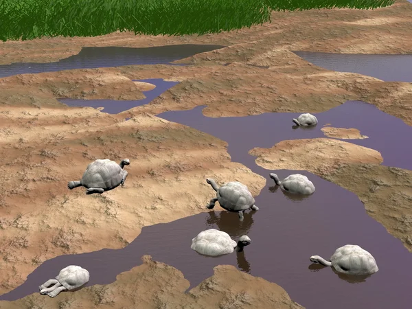 Galapagos tortoises relaxing - 3D render — Stock Photo, Image