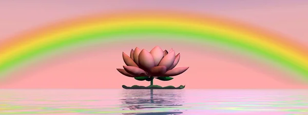 Flor de lótus sob arco-íris renderizar 3D — Fotografia de Stock
