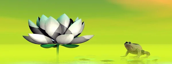 Grenouille et fleur de lotus - rendu 3D — Photo