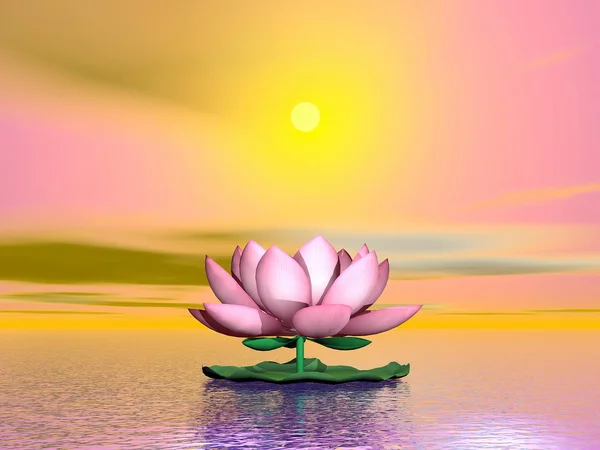 Kwiat lotosu przed zachodem słońca - renderowanie 3D — Zdjęcie stockowe