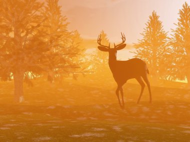 Buck - 3d render gölge