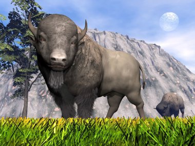 bizonlar doğa - 3d render içinde