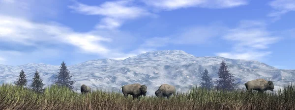 Bisons in the nature - 3D render — Stock Photo, Image