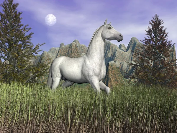 Vita hästen i gräs - 3d render — Stockfoto