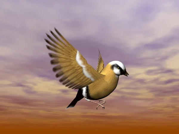 Finch vogel met het vliegen - 3d render — Stockfoto