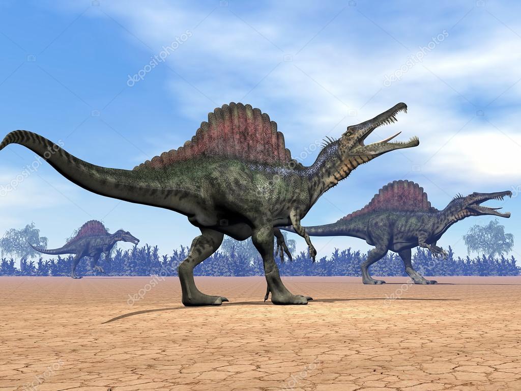 Spinosaurus dinosaures marche - rendu 3D — Photo de stock par ©Elenarts -  25876557, image size:1024x768