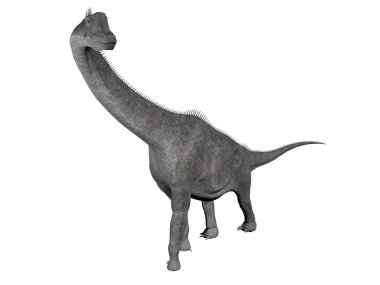 Brachiosaurus dinazoru - 3D görüntüleme