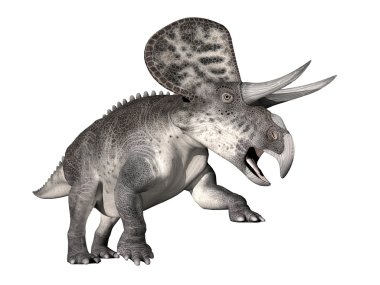 Zuniceratops dinosaur - 3D render