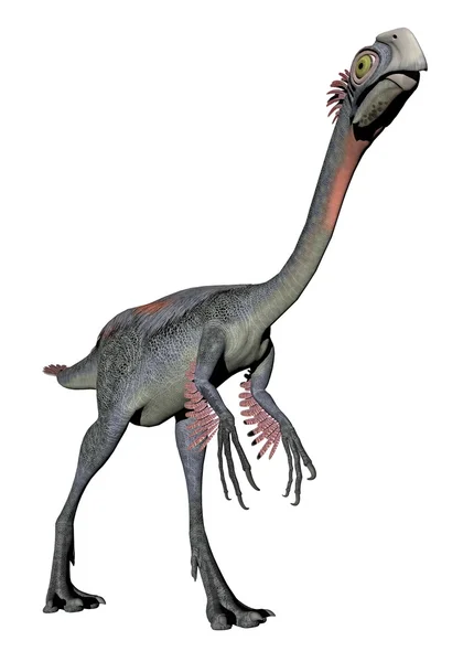 Gigantoraptor dinoszaurusz - 3d render — Stock Fotó