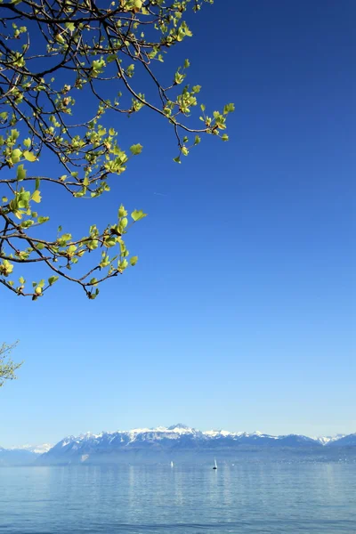 Lake geneva, Szwajcaria — Zdjęcie stockowe