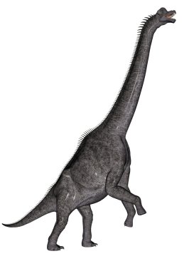 Brachiosaurus dinozor