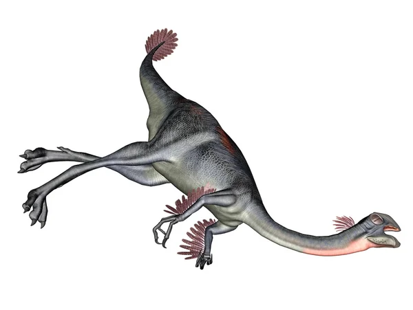 Gigantoraptor dinosaurie — Stockfoto