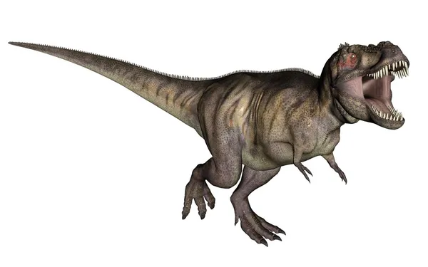 Τυροσάουρος δεινόσαυρος — Φωτογραφία Αρχείου