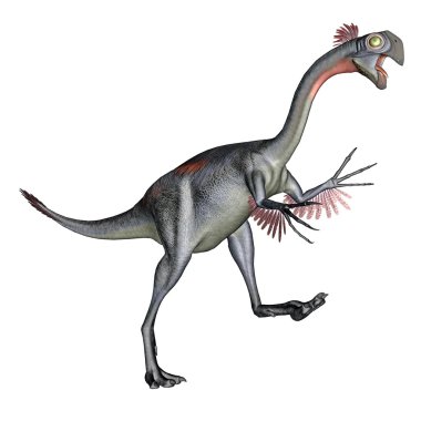 gigantoraptor dinozor