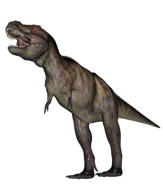 tyrannosaurus dinozor